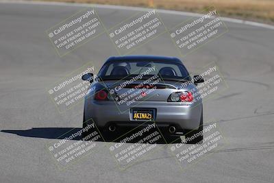 media/Nov-19-2023-Extreme Speed (Sun) [[bd0eec5490]]/Purple/Back Shots/